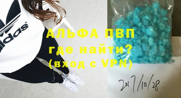 гашик Вяземский