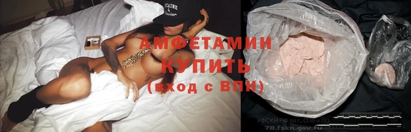 гашик Вяземский