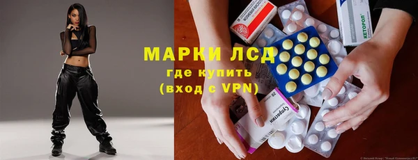 гашик Вяземский