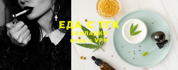 гашик Вяземский