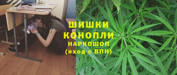 гашик Вяземский