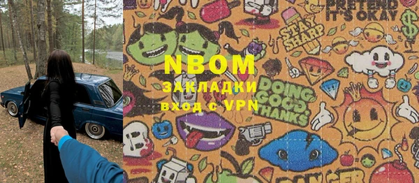 гашик Вяземский