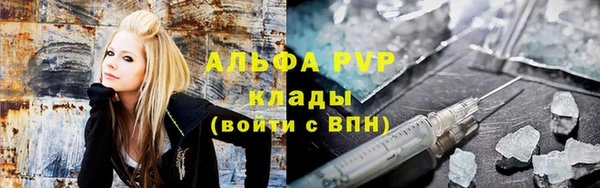 spice Вязьма
