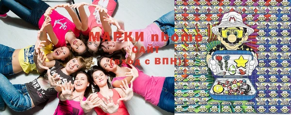 гашик Вяземский