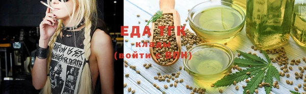гашик Вяземский