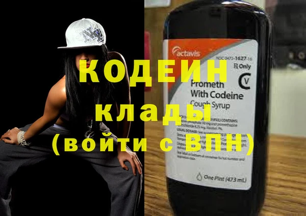 гашик Вяземский