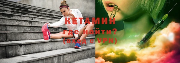 гашик Вяземский