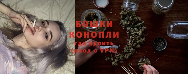 гашик Вяземский